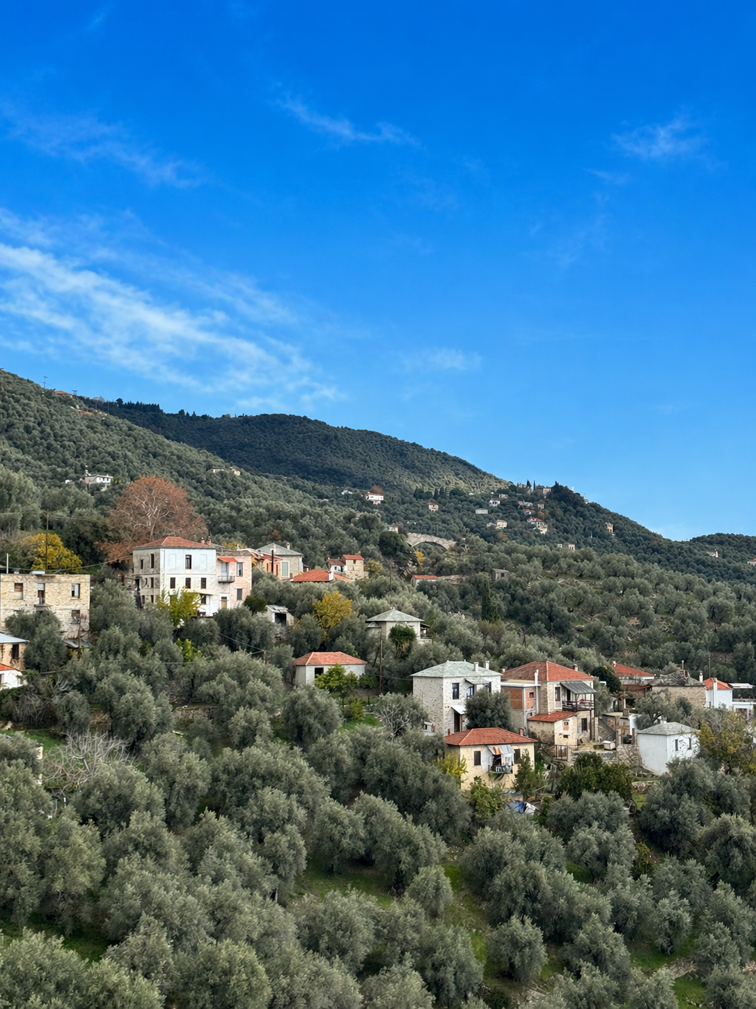 Pelion Muse villa surrounded by olive groves in Ano Gatzea, Pelion