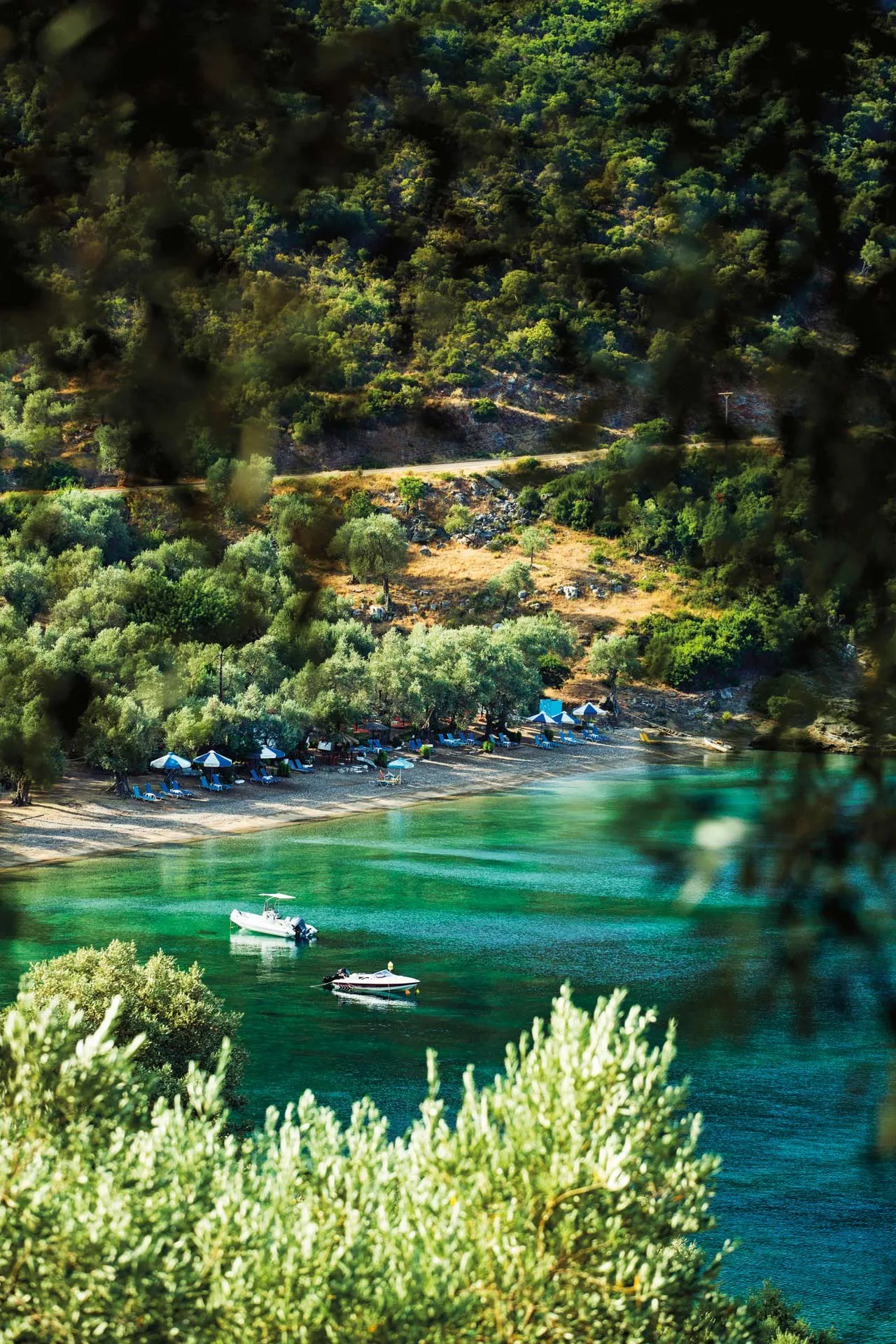 Turquoise Pelion beach with pine trees and white pebbles