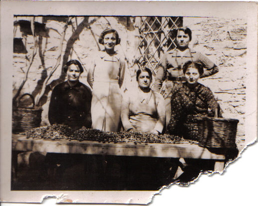 Pre-war photograph of olive sorting outside the house