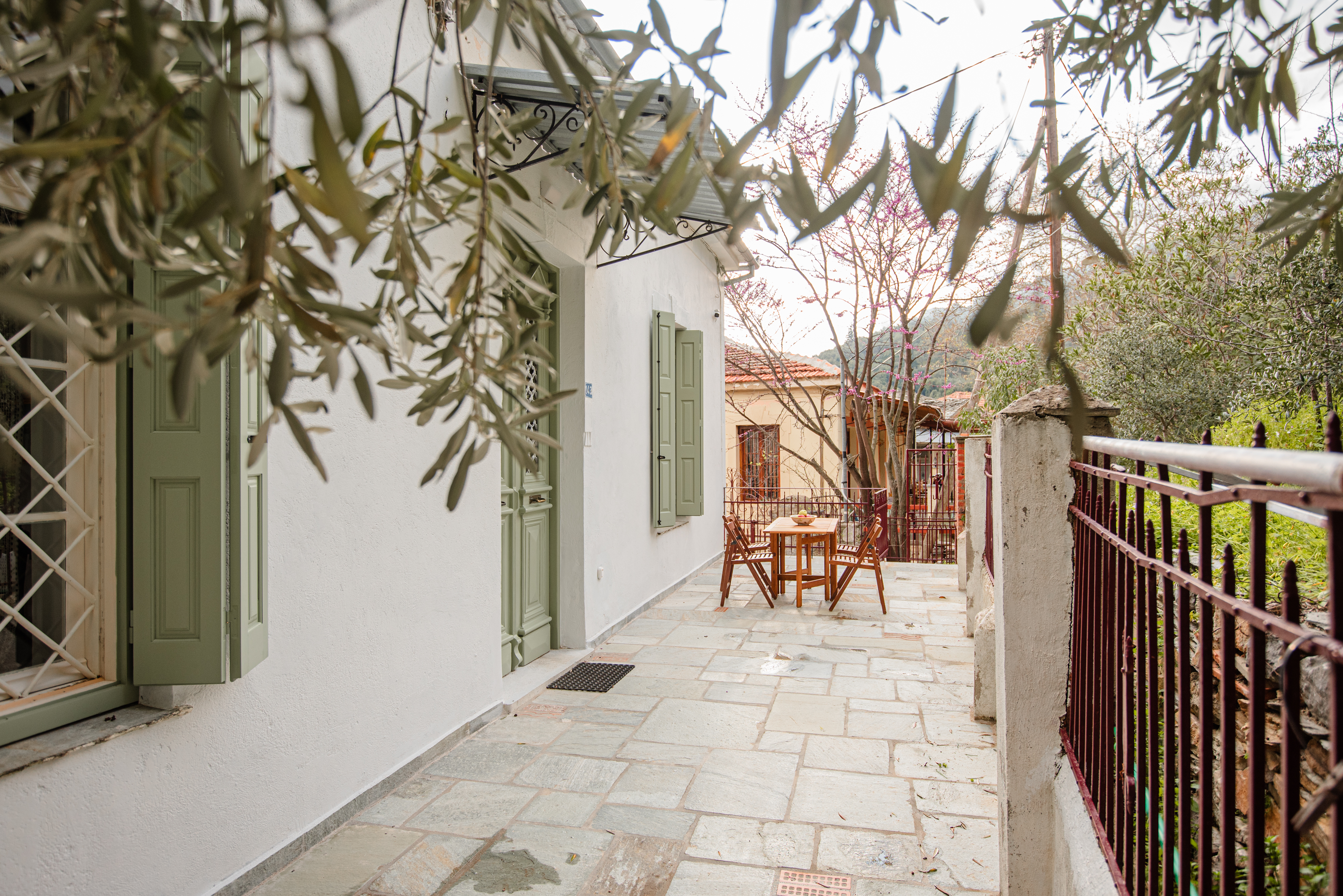 Garden and olive trees surrounding the house